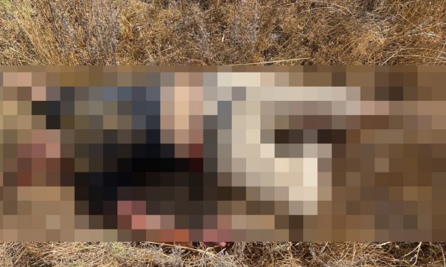 Encuentran a hombre ultimado a balazos en El Huizachal