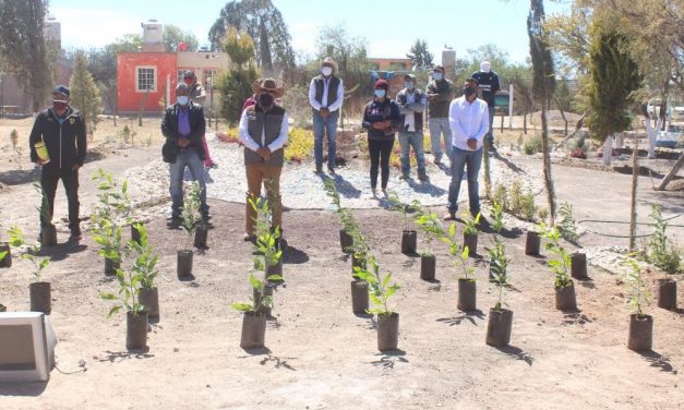 Arrancan autoridades municipales campaña de canje de árboles en Doctor Mora