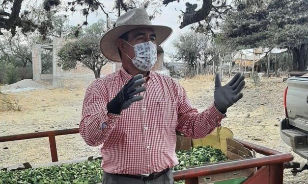 Pre-Candidato del PRI en San José Iturbide es embestido por un toro