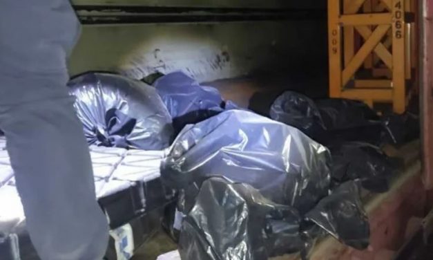 Restos encontrados en planta GM de Silao, eran de animales