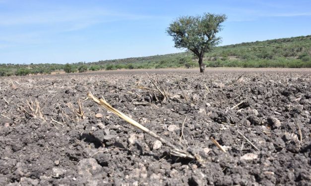Gobernador prepara plan para hacer frente a sequía en Guanajuato