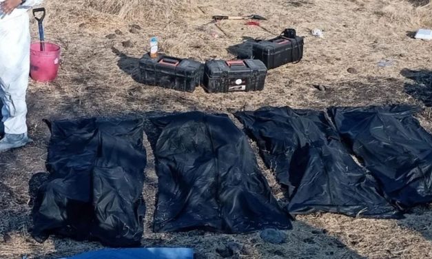 Van 26 cuerpos encontrados en fosa clandestina en Juventino Rosas