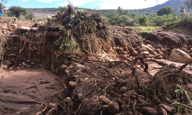 Fotos: Habitantes de La Torna piden auxilio inmediato de las autoridades después de inundación