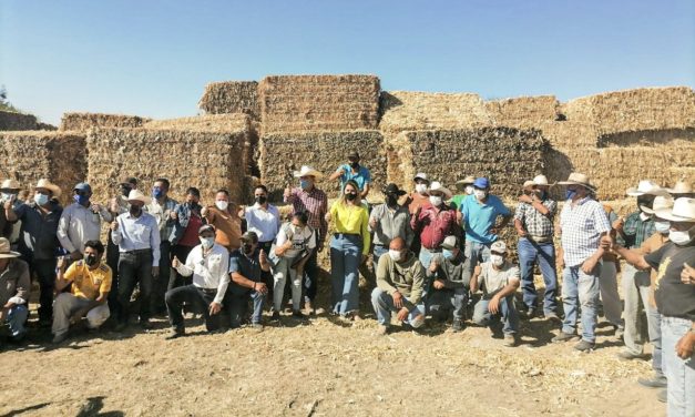 “Mi ganado productivo” llega a 30 comunidades