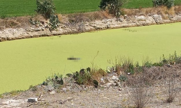 Encuentran a joven sin vida flotando en foso cerca de San Antonio Viborillas