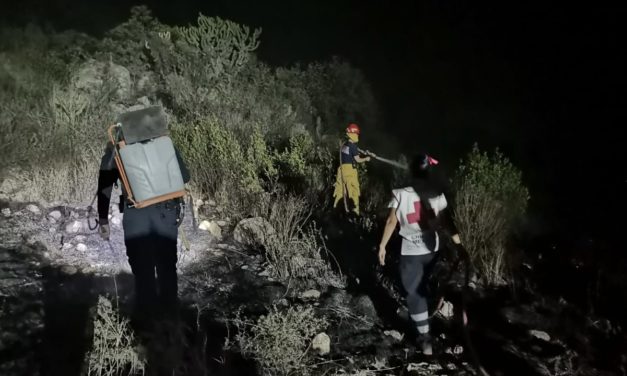 Sofocan corporaciones de emergencia incendio de pastizal satisfactoriamente en el cerro del pájaro