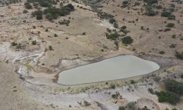 Al 50 por ciento de avance de obras de bordería en 5 comunidades