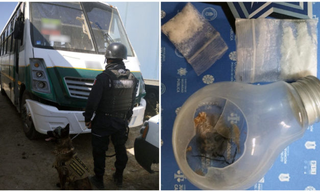 Detienen a chofer de Flecha Verde que se había echado un “focazo”, y aseguran unidad