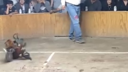 Ataque armado en La Venta deja a tres hombres sin vida y varios lesionados