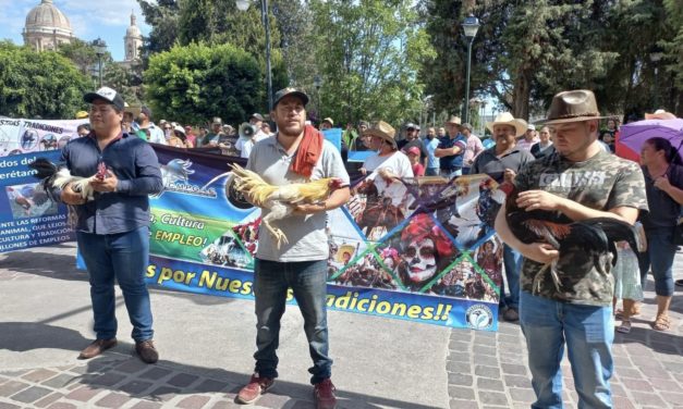 Galleros Iturbidenses se manifiestan para defender su actividad