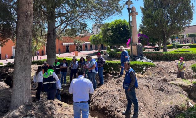 Trabajan autoridades locales y estatales en atención y mantenimiento de arbolado municipal