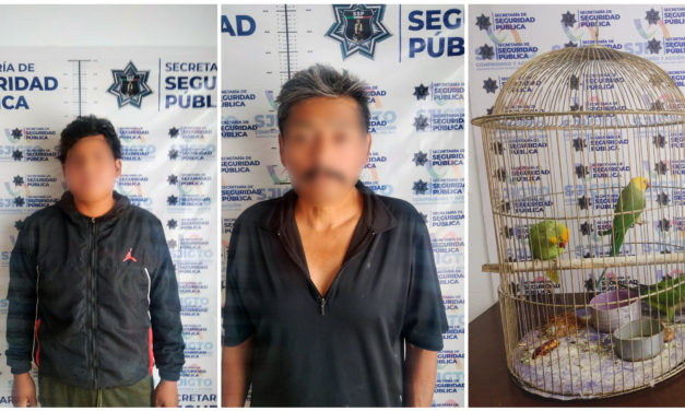 Policía Municipal pone a disposición de la Fiscalía a vendedores de especies protegidas