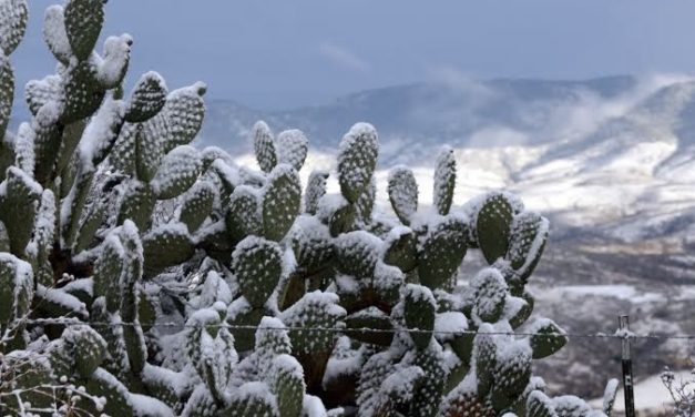 ¿Eres “team frío”?  Pues te vas a congelar en esta temporada invernal 2023 – 2024 según expertos