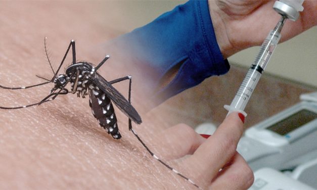 Hay 20 casos de Dengue en el Noreste de Guanajuato; Victoria presenta 18