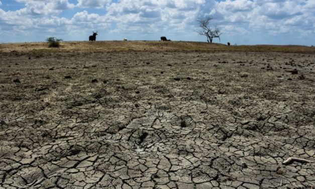 Se agrava sequía a nivel nacional: se eleva siete puntos y pasa de moderada a excepcional
