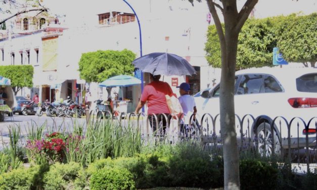 Emite Protección Civil de San José Iturbide recomendaciones para temporada de calor