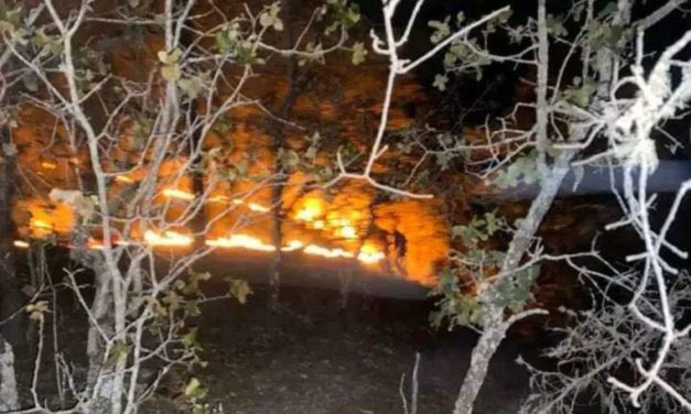 Incendio en La Mazamorra, perteneciente a Xichú, continúa activo y piden ayuda para sofocarlo