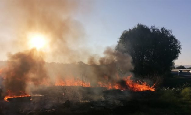 Protección Civil de San José Iturbide invita a evitar incendios foestales en esta temporada