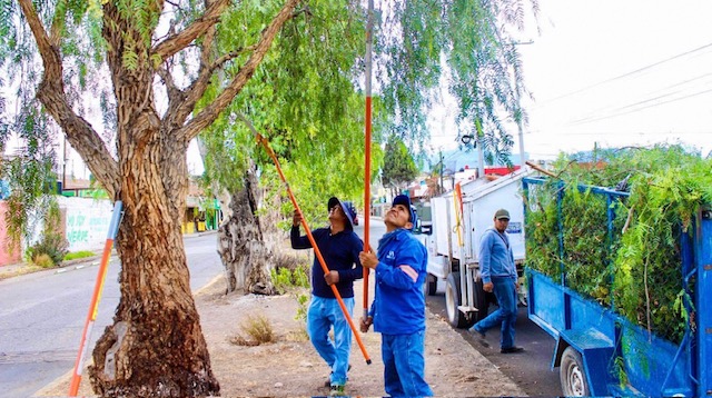 12e590d1-9a2c-494a-99ae-e8512f47cfef