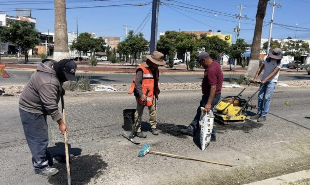 Inicia gobierno municipal trabajos de bacheo y despalme de terreno de feria