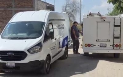 Hallazgo macabro en Celaya: perro fue encontrado con una pierna humana en la colonia Lagos