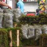 PAOT llama a evitar el uso de musgo y heno en Navidad para proteger los bosques de Guanajuato